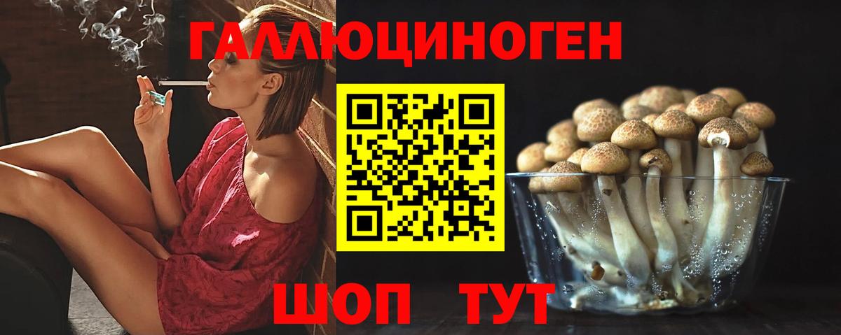 Галлюциногенные грибы прущие грибы Сосновоборск